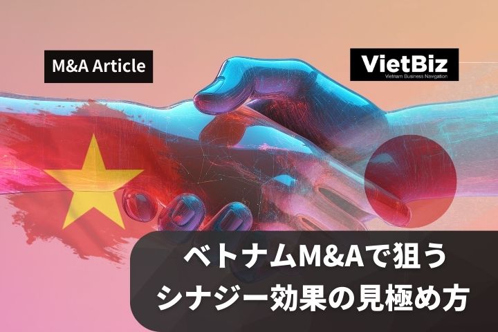 ベトナムM&Aで狙うシナジー効果の見極め方